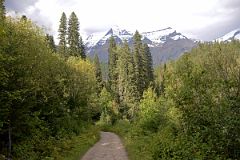 26 Mount Robson From Berg Lake Trail Near Parking Lot.jpg